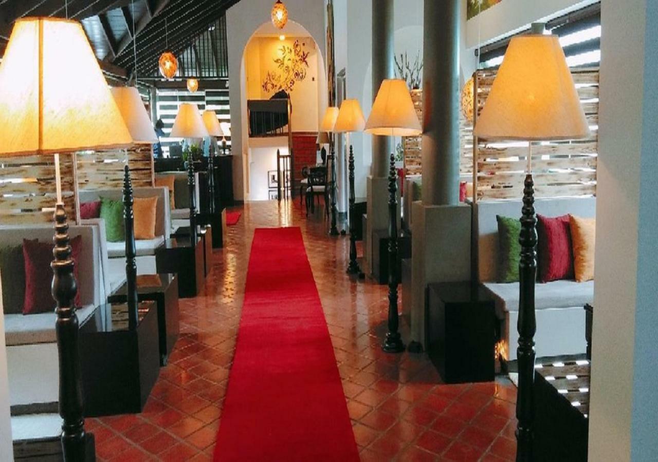 Ekho Ella Hotel Buitenkant foto